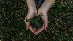 Causas sociais e Ambientais